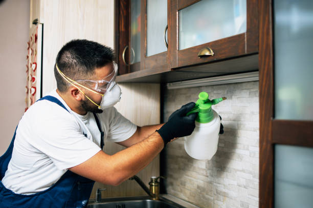 Pest Control Cost in East Hampton North, NY