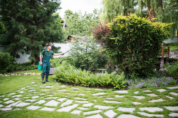 Best Wasp Removal Services  in East Hampton North, NY
