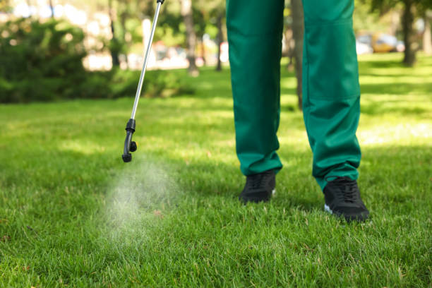 Trusted East Hampton North, NY Pest Control Experts