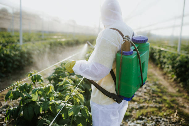 Insect Control in East Hampton North, NY